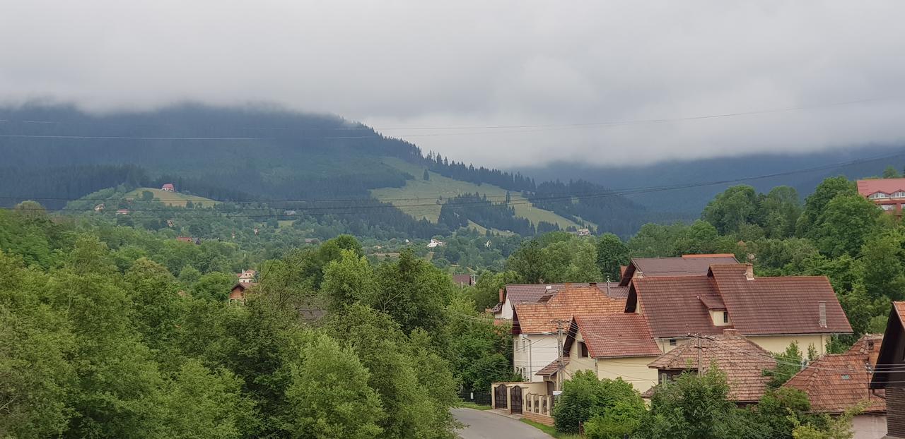 Pensiunea Casa Beatrice Bran Бран Екстер'єр фото